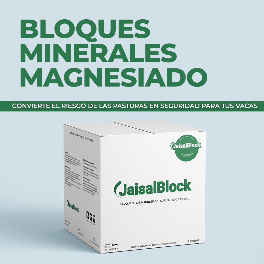 Bloque Magnesiado